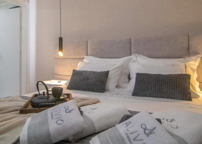 Alivio Lux Residences * 纳夫普利翁