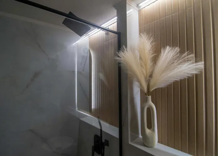 公寓 Alivio Lux Residences