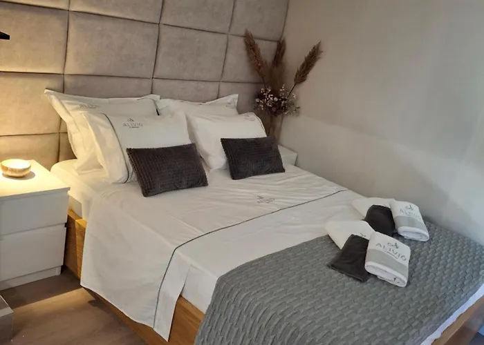 公寓 Alivio Lux Residences 纳夫普利翁