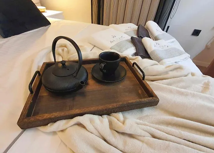 公寓 Alivio Lux Residences 纳夫普利翁