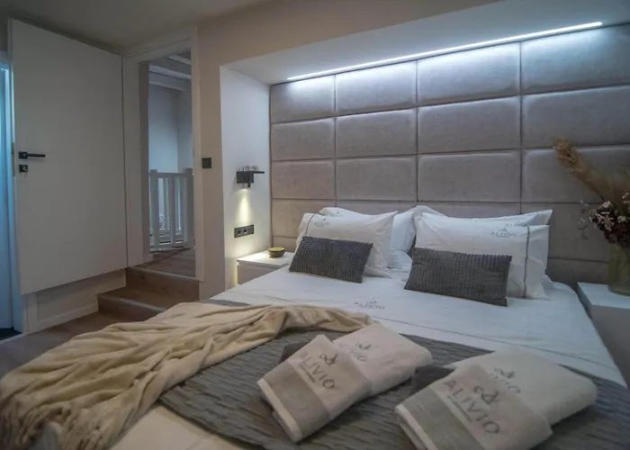 Alivio Lux Residences Apartment *